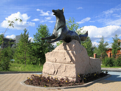 Памятник «Чёрный лис» — один из самых знаковых в городе. Он стоит прямо у входа в Историко-культурный центр «Старый Сургут». Лис почти точь-в-точь копирует изображение зверя на гербе Сургута. Бронзовая лисица была отлита в Санкт-Петербурге, в Международном центре культуры и искусства, и долгое время городские власти не могли решиться, куда она должна «бежать» (так что лис вертелся туда-сюда). В нынешнем виде лиса направляется к дороге.